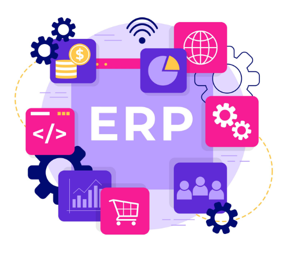 ERP System Development